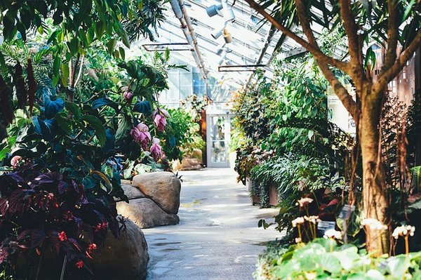 Comment aménager votre jardin avec une serre professionnelle comme un paysagiste?